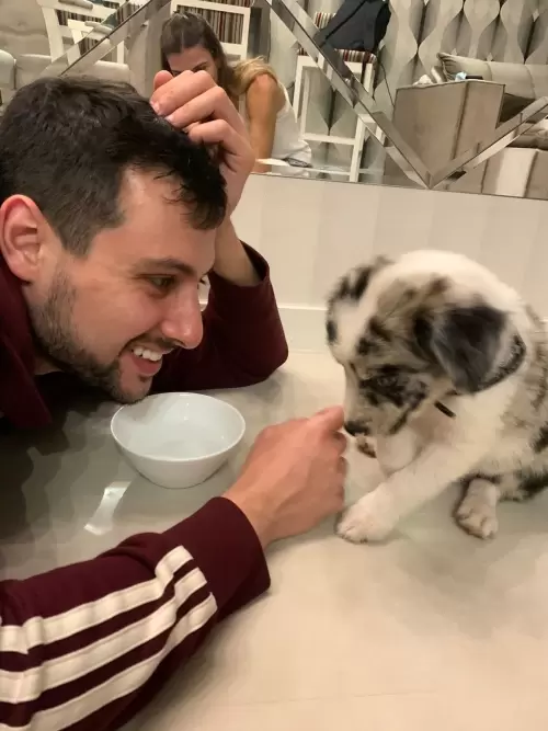 Feira Agroponte Criciúma 2021