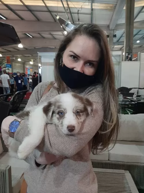 Feira Agroponte Criciúma 2021