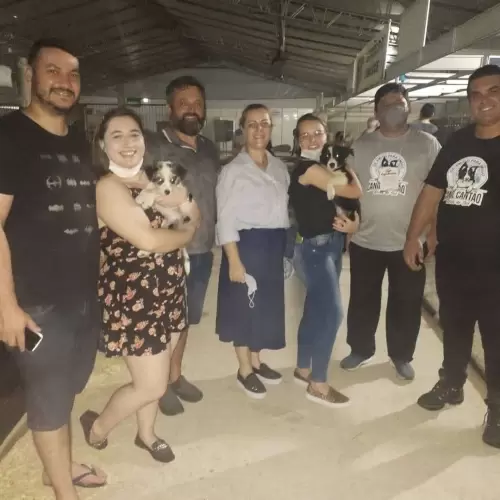 Feira Agroponte Criciúma 2021