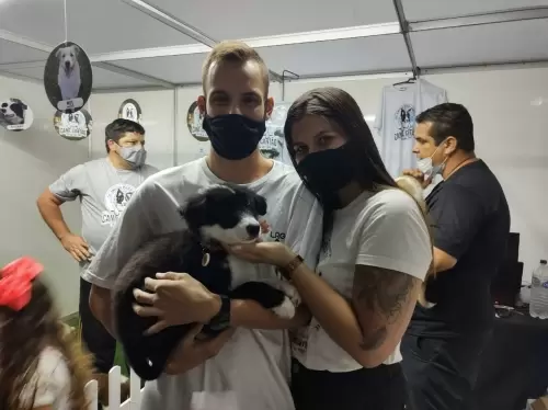 Feira Agroponte Criciúma 2021