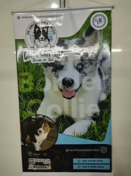 Feira Agroponte Criciúma 2021