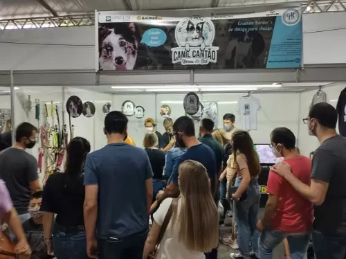 Feira Agroponte Criciúma 2021